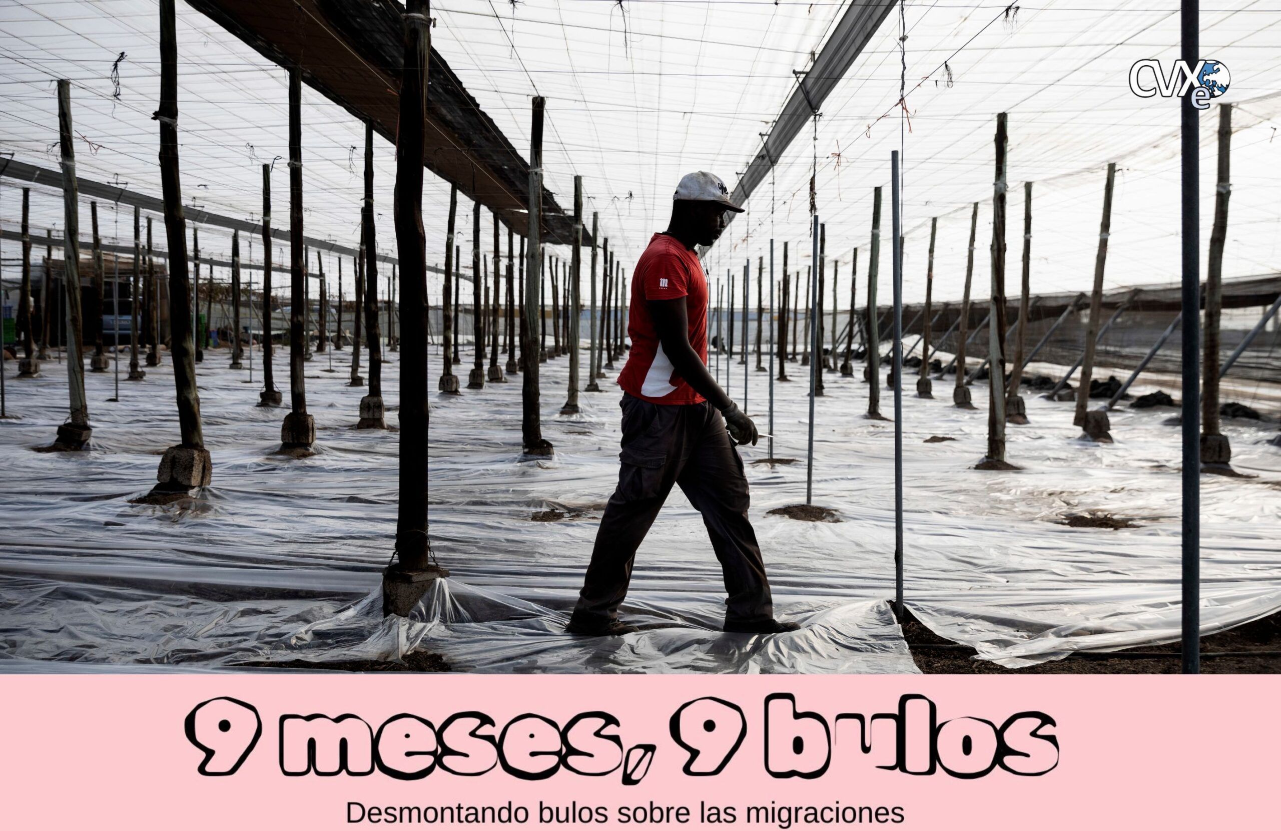 9 meses 9 bulos (1)