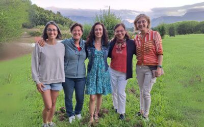 Exponerse al asombro y al riesgo del amor