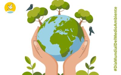 Del medio ambiente al cuidado de la casa común