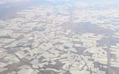 Bajo el blanco infinito de los plásticos hay vidas que aún esperan ser vistas