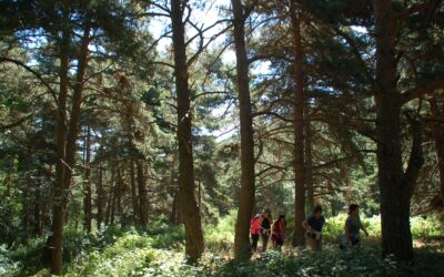 ECOcamp 2026: una experiencia de comunidad, espiritualidad y ecología a los pies del Moncayo