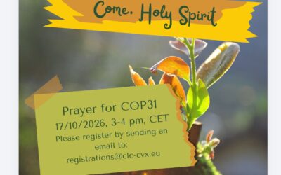 Oración por la COP 31 el próximo 17 de octubre